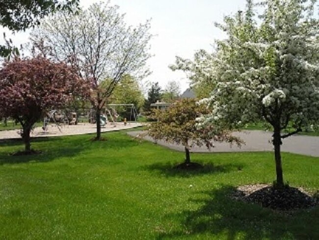 Building Photo - 2BR MORGANDALE CONDO AVAIL. IMMED!!