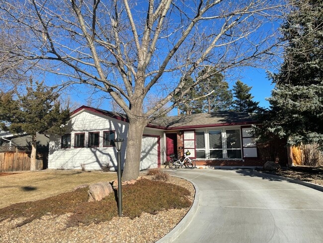 Building Photo - Newly Updated 6 Bedroom South Boulder Home