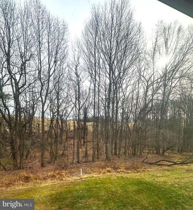 Building Photo - 1002 Jessicas Ct