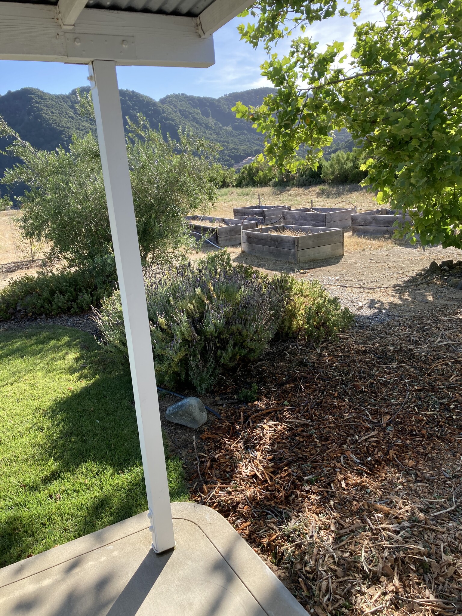 Raised vegetable garden beds - 2596 Black Walnut Rd