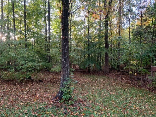 Building Photo - Fabulous 4BR 2.5BA Home on 1.25 Acres