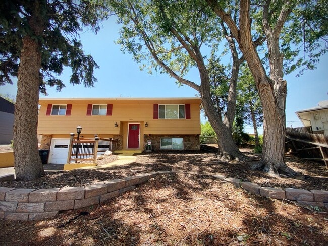 Building Photo - 4113 Bent Dr