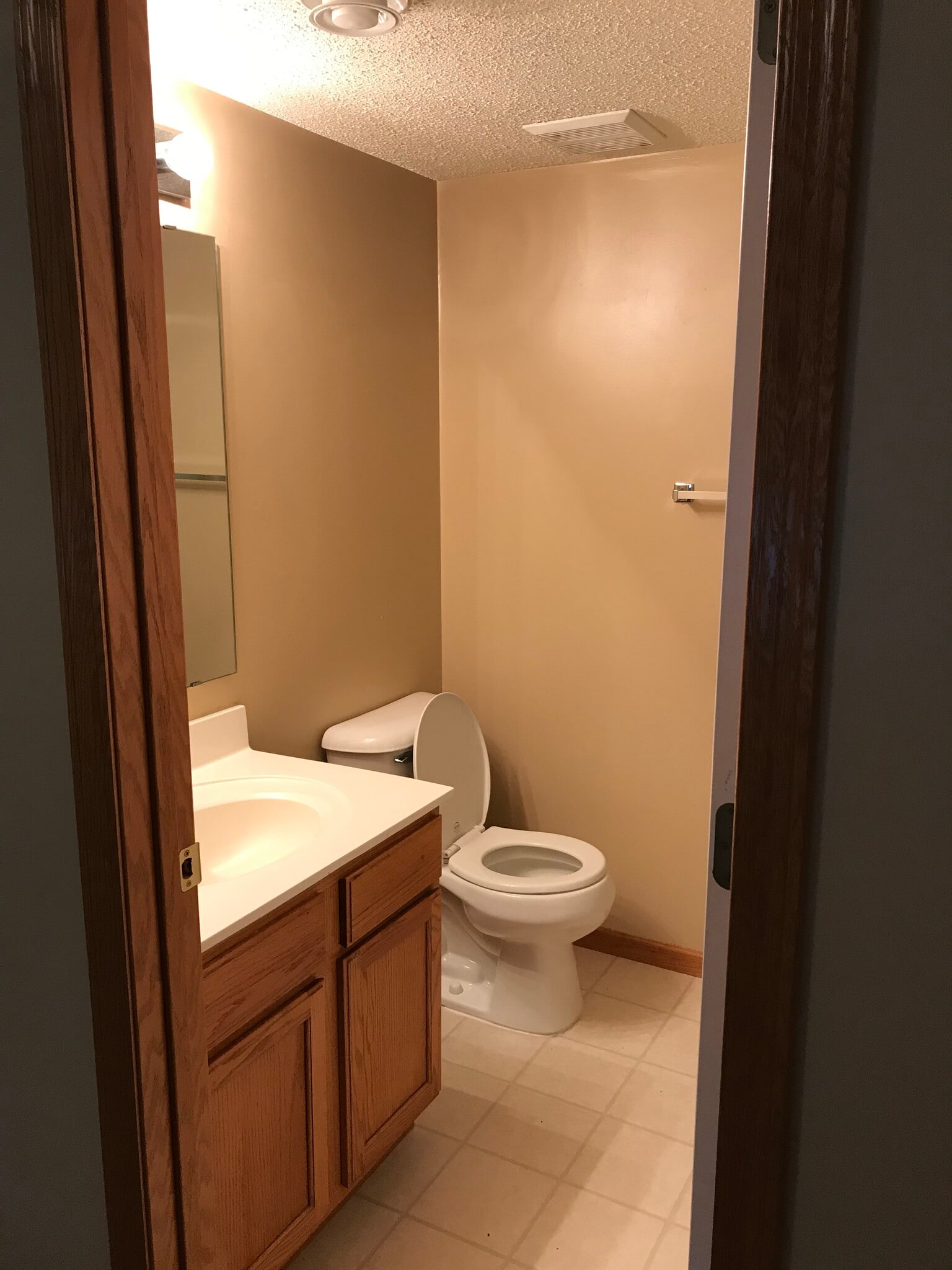 Bathroom Lower Level - 747 2nd St NE