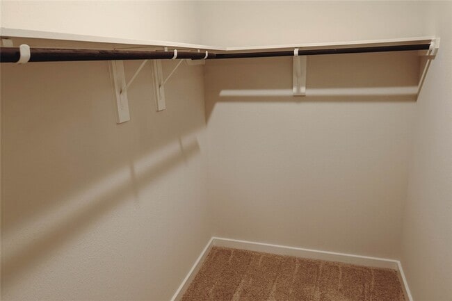 Building Photo - 8526 Blueberry Ash St