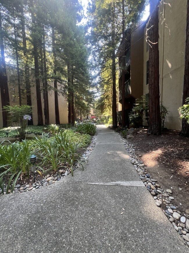 Building Photo - 155 Sharene Ln