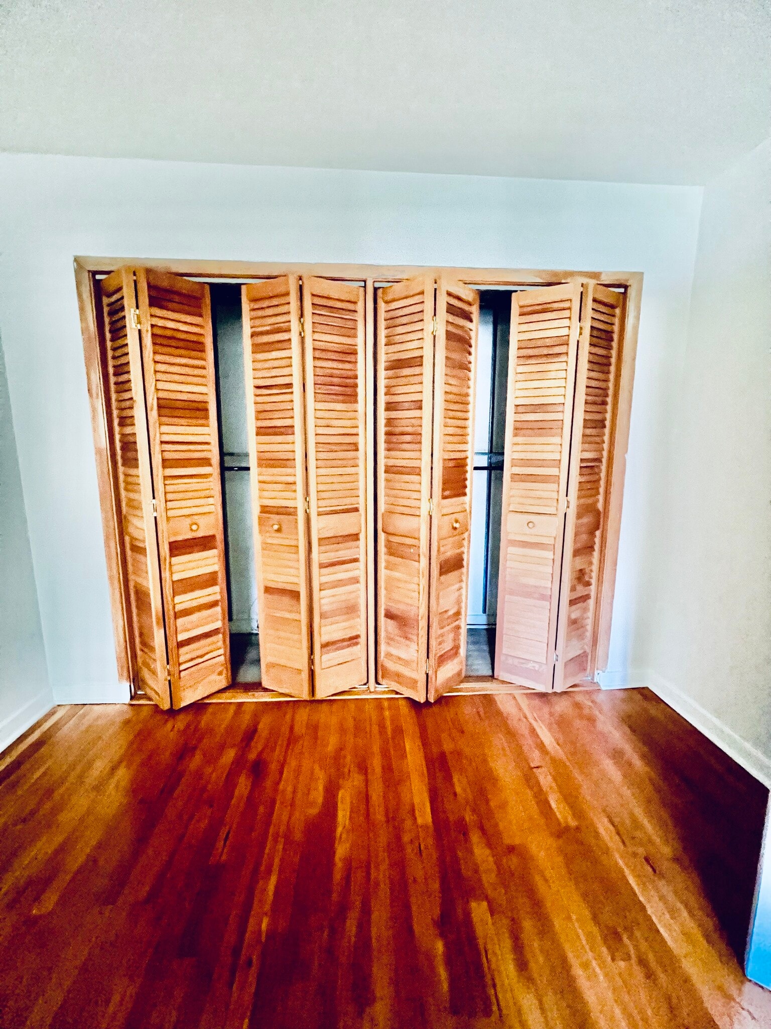 Wall to Wall closet - 11 Stokes Rd