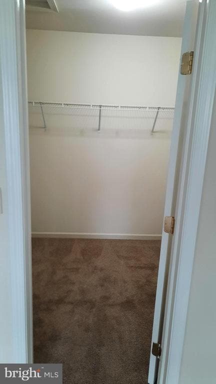 Building Photo - 303 Antilles Court