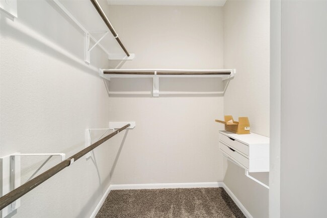 Building Photo - 2722 Kaman Ln