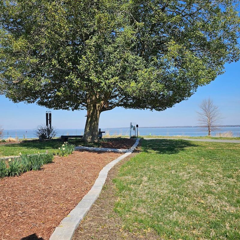 Building Photo - 6111 Fairview Dr