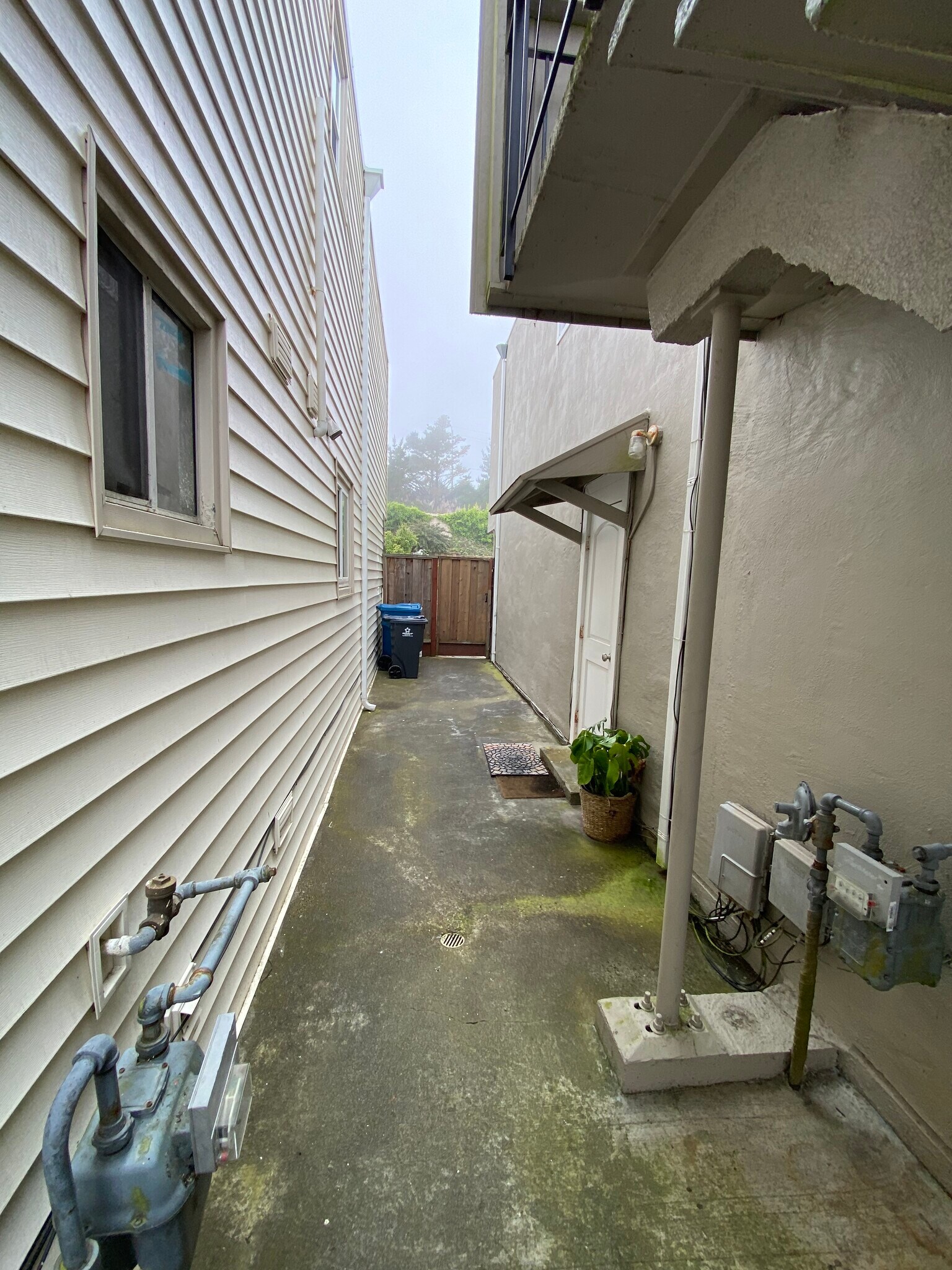 Back yard entrance - 258 Canterbury Ave
