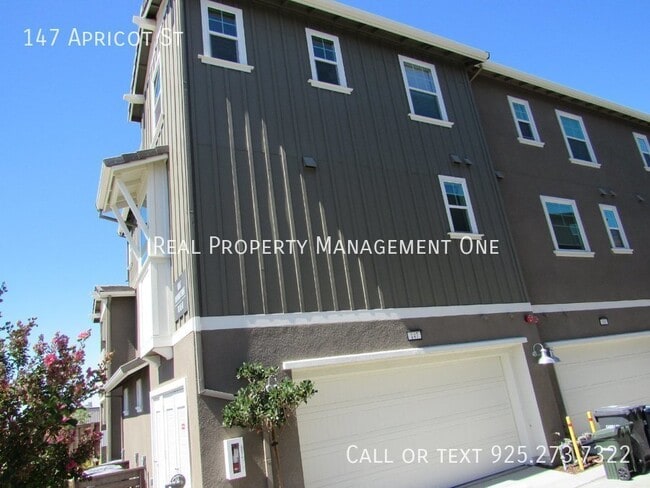 Building Photo - 147 Apricot St