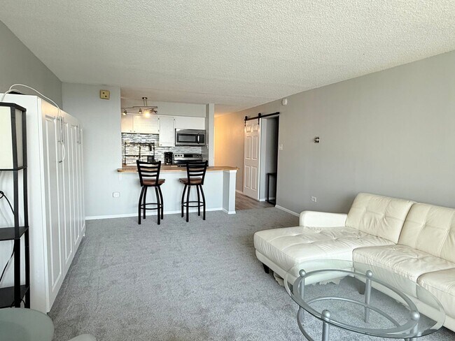 Building Photo - Furnished Downtown Denver Studio!  Minutes...