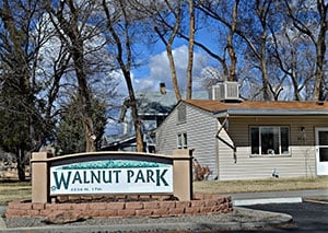 Primary Photo - Walnut Park Apartments