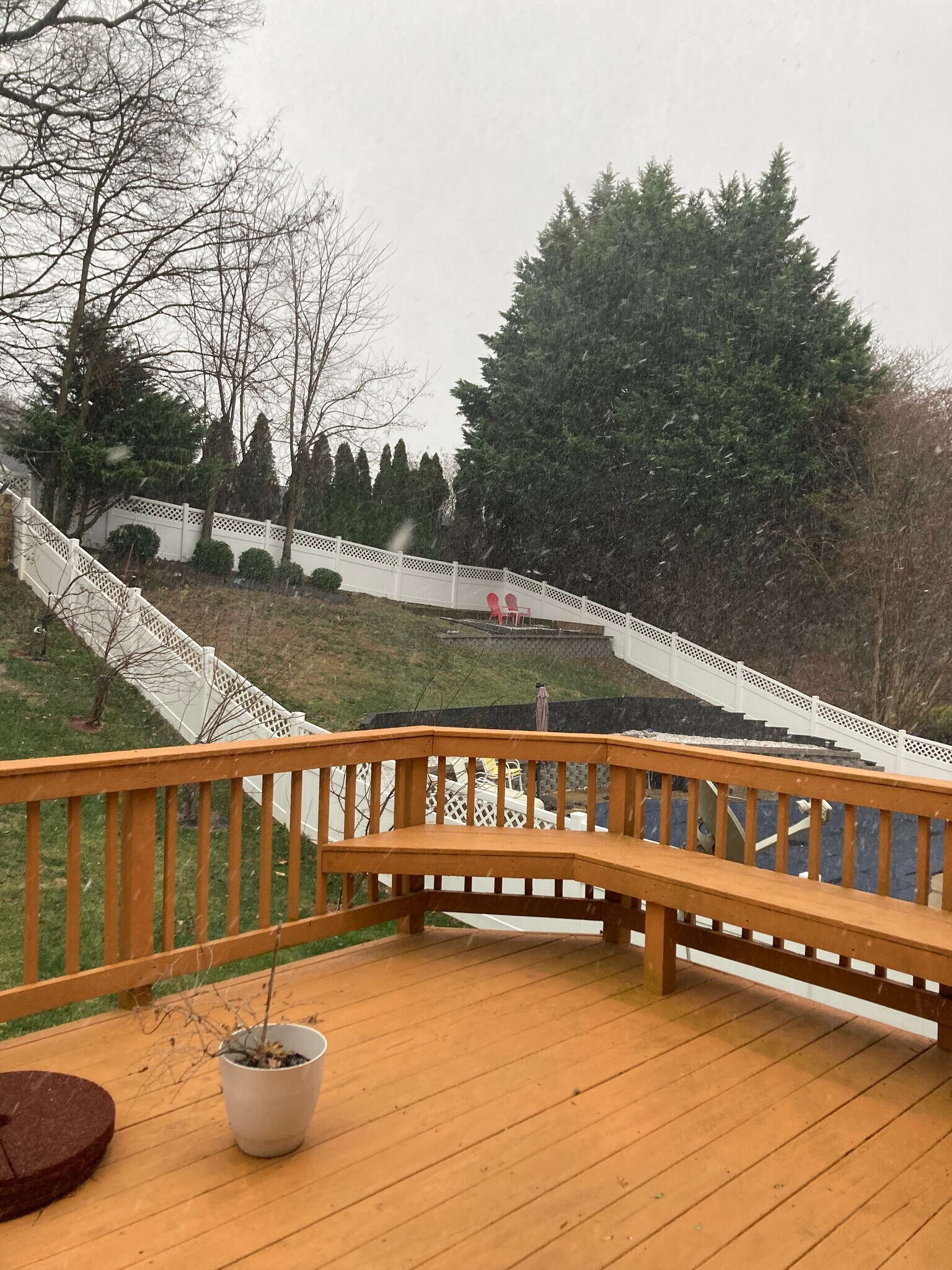 Building Photo - 3203 Trellis Ln