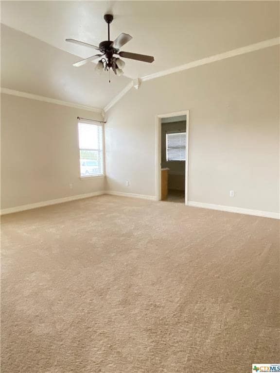 Building Photo - 502 Irish Ln