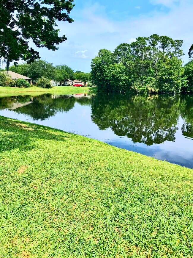 BACK VIEW - 3679 Oakhill Dr