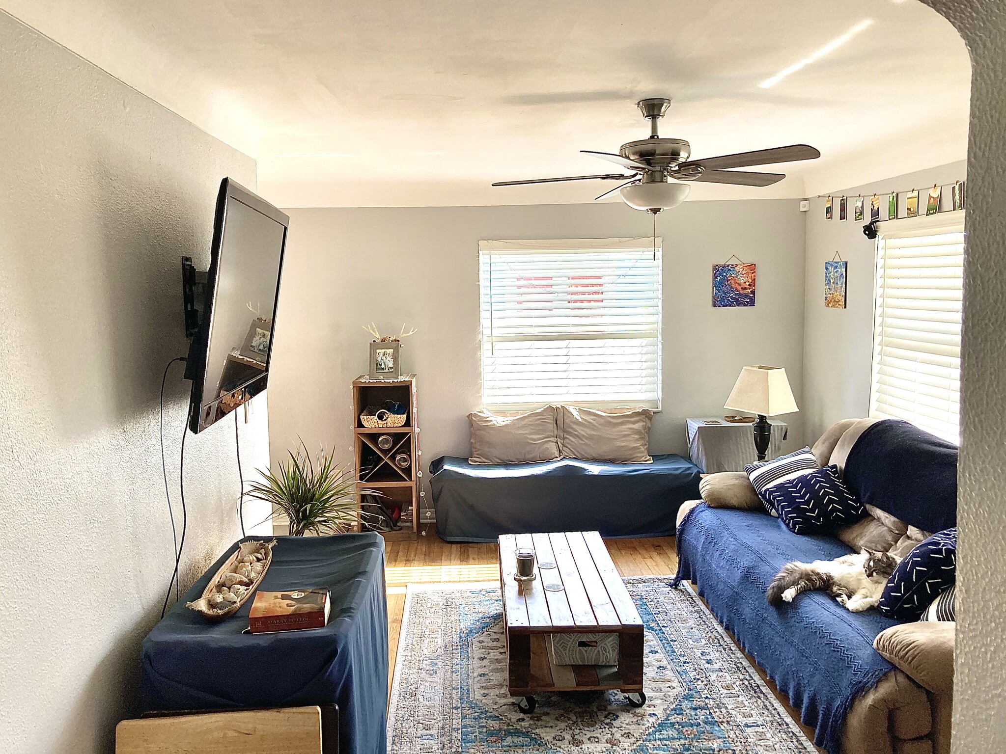 Living Room - 2121 8th Ave N