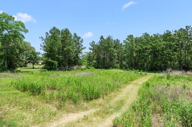 Building Photo - 2019 Iris Hls Ln