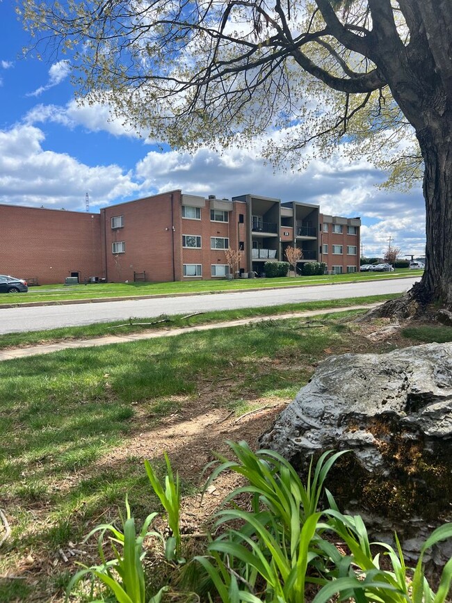 Building Photo - Fully Renovated 3 Bedroom 2 Bathroom Apart...