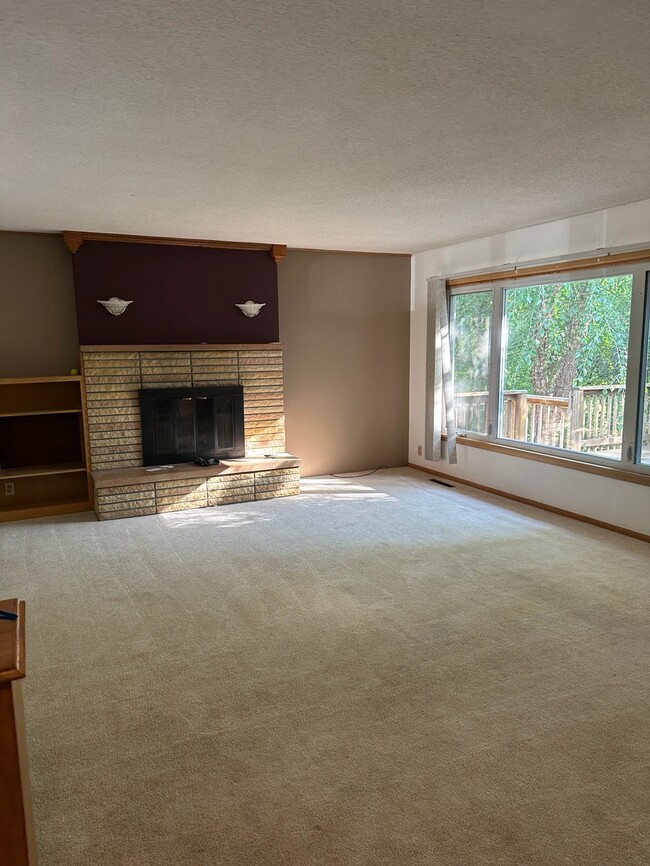 Living room - 521 Capitol Dr