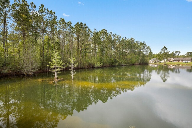 Building Photo - 15076 Audubon Lake Blvd