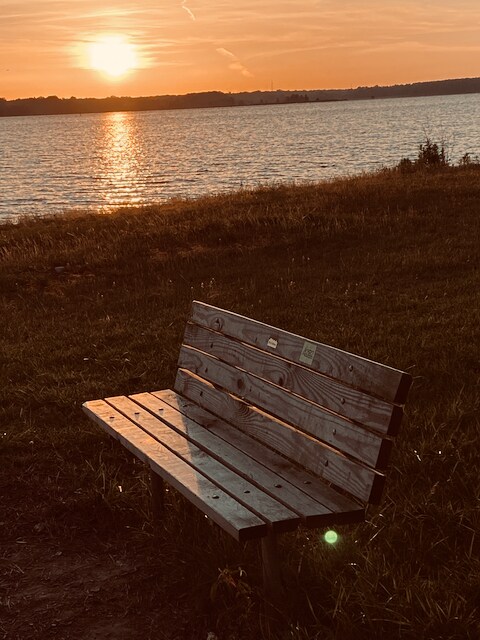 Building Photo - 217 Brendalwood Blvd