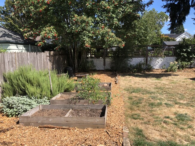 backyard with raised beds - 3218 SE 59th Avenue