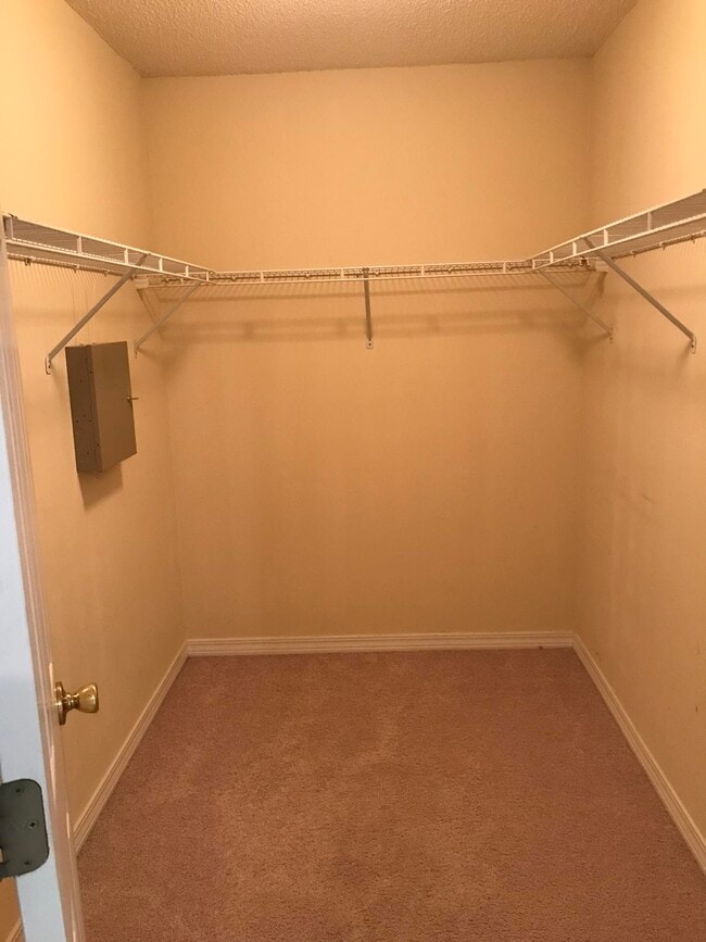 Building Photo - 517 Samana Way