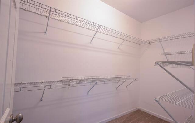 Building Photo - 115 White River Ct