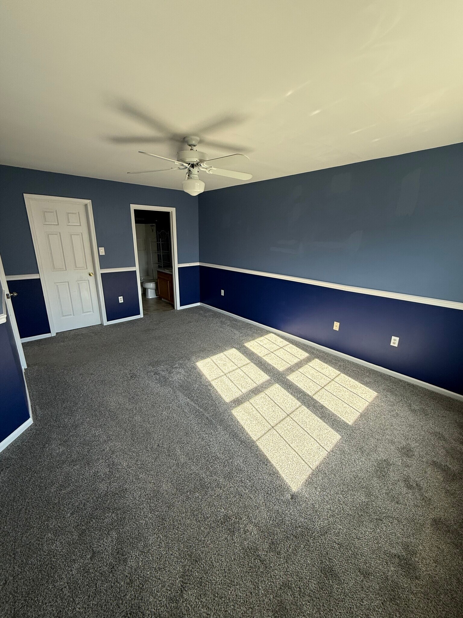 Building Photo - 12 Paynter St