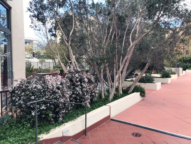 Back Patio 2 - 702 Ash St