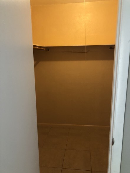 Walk-in Closet - 805 Foresteria Dr