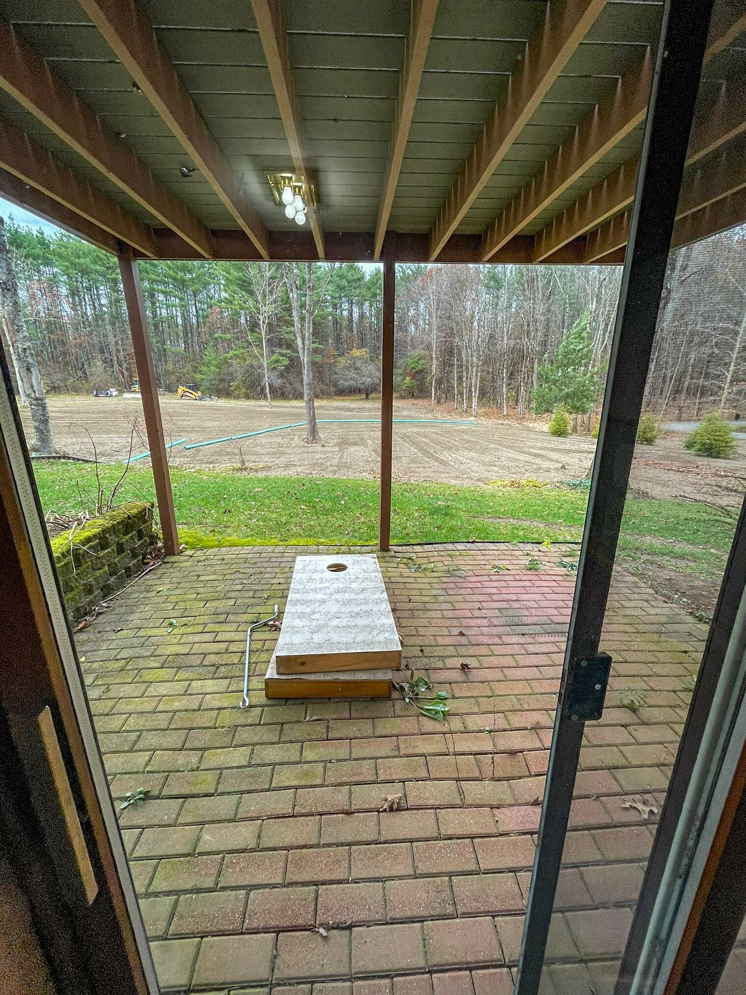 View into Backyard from Basement - 20 Isaac Lucas Cir