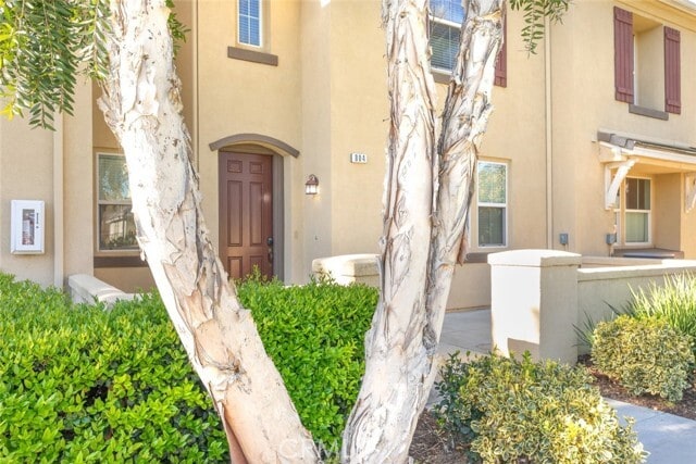 Building Photo - 1800 E Lakeshore Dr