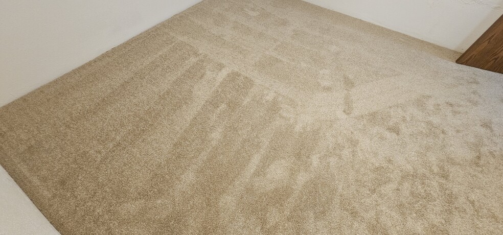 All new carpet in 3rd bedroom - 890 Worthington Woods Blvd