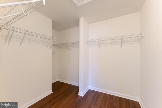 Building Photo - 25120 Sweet Myrtle Square