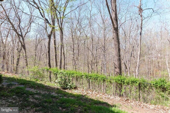 Building Photo - 20717 Waterfall Branch Terrace