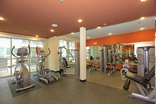 Interior Photo - The Arts Apartments