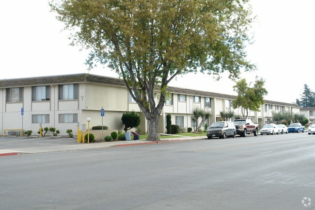 Primary Photo - Maple Terrace Apartments