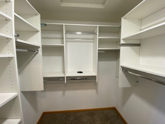 Building Photo - 7751 Ladyslipper Ln
