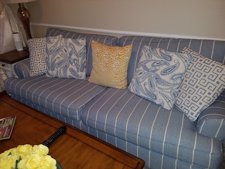 comfy couch - 1600 Long Grove Dr