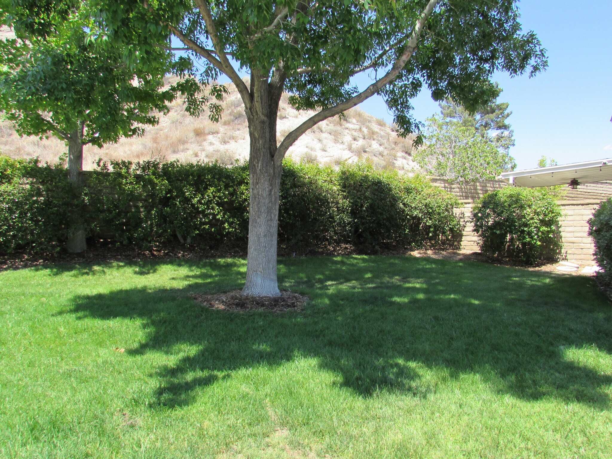 Lush landscaping - 15847 Cindy Ct