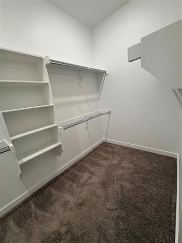 Building Photo - 3258 Feller Ln