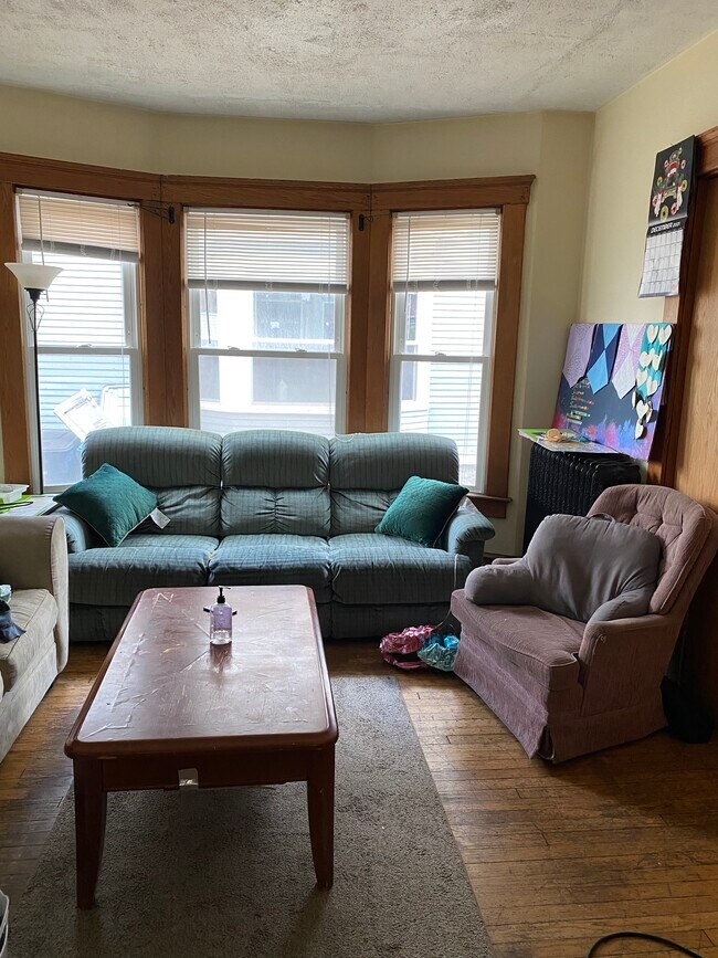 Living Room - 917 E Ann St