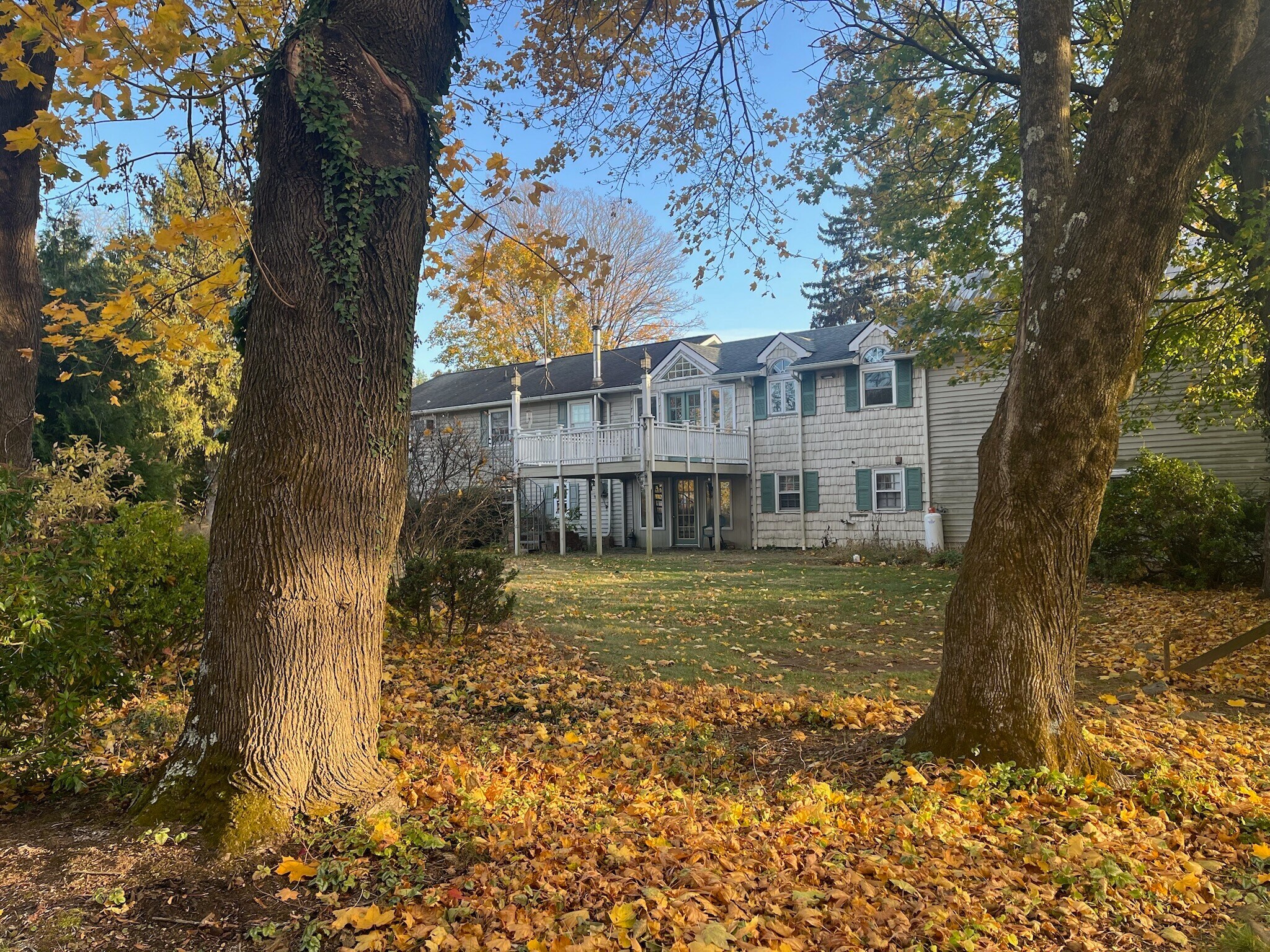 Building Photo - 289 White Bridge Rd