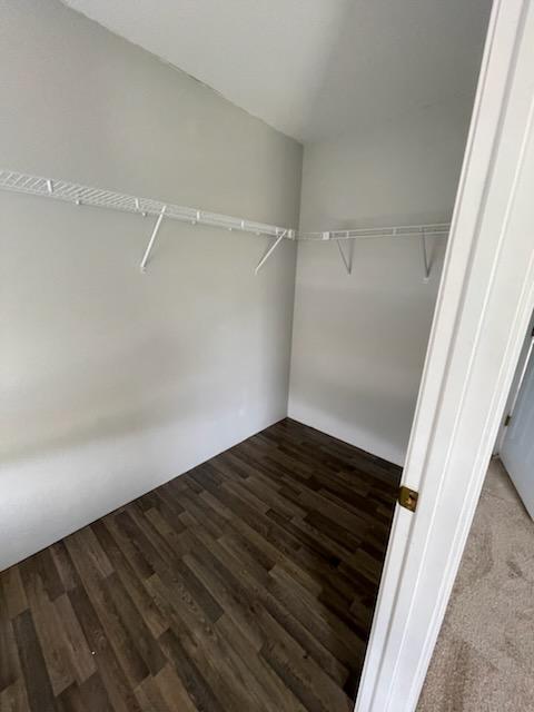 Building Photo - 717 Gazania Ln