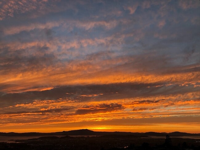 Building Photo - Lovely 3/2 home in the hills of El Cerrito with breathtaking views of the bay!
