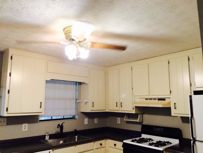 Building Photo - 205 Meadowbrook Ct