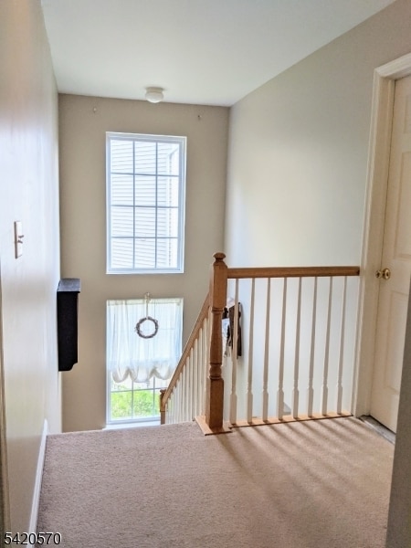 Building Photo - 282 Winding Hill Dr