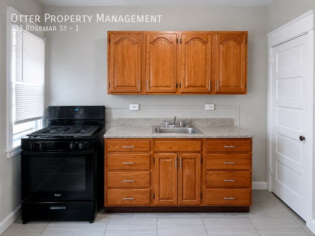 Building Photo - 253 Rosemar St